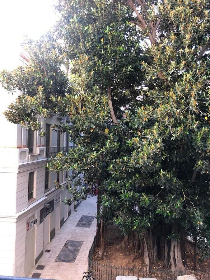 Malaga Centro Ideal Y Luminoso Apartment Spain